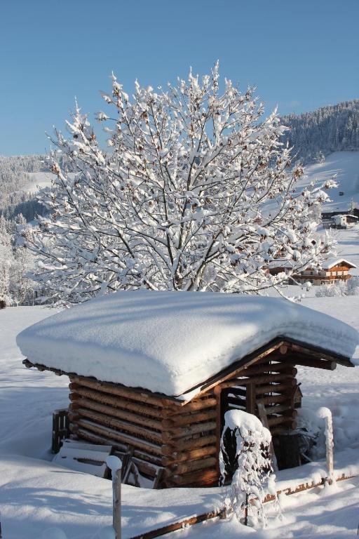 Feriendorf Wildschoenau Niederau Δωμάτιο φωτογραφία